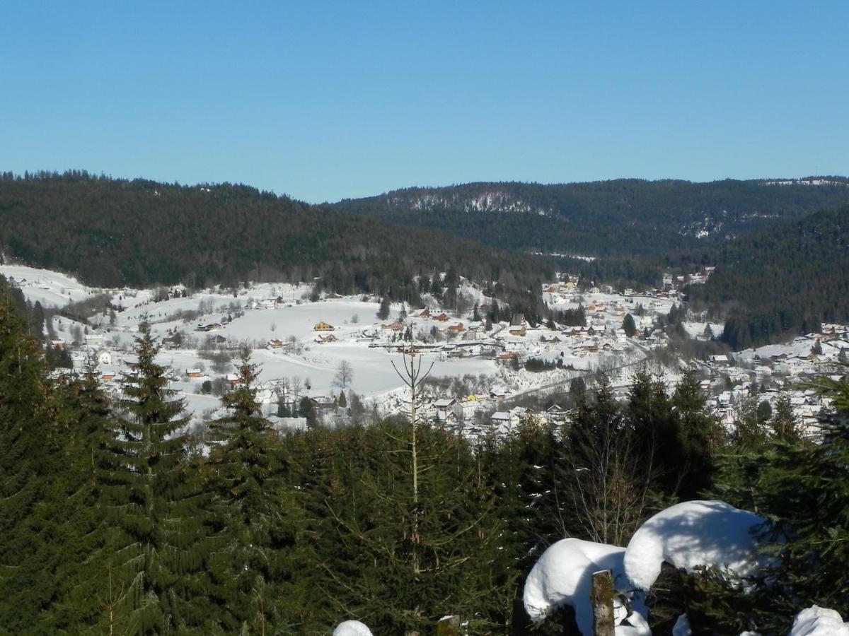 Appt 3* Le Haut Des Lacs Xonrupt-Longemer ภายนอก รูปภาพ